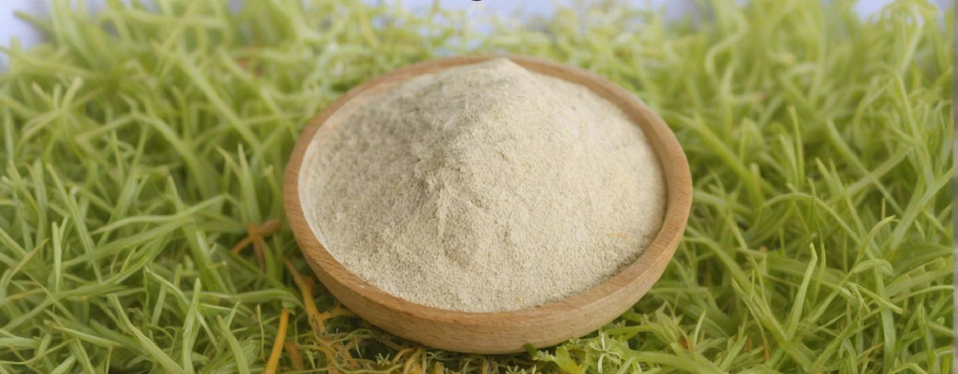 CAG Hydrocolloids