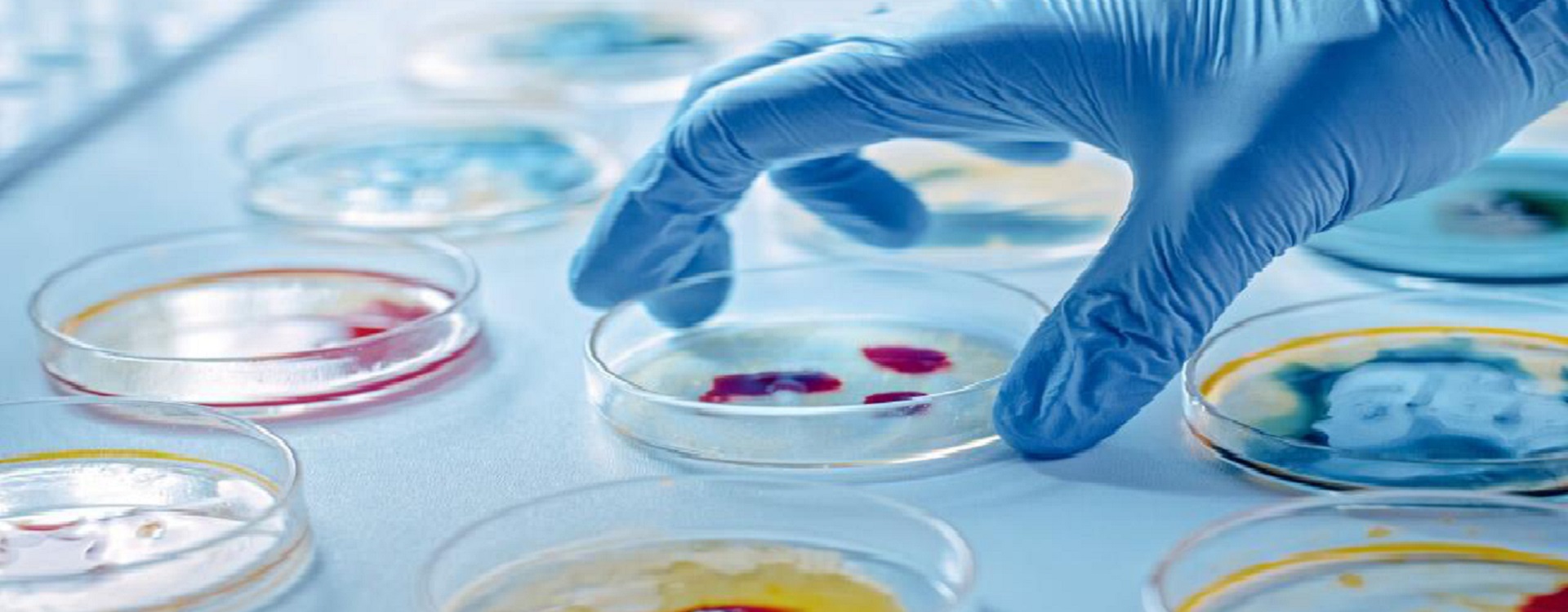 微生物培养基解决方案 