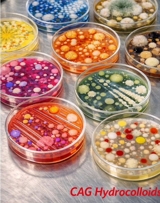 Microbiological Medium